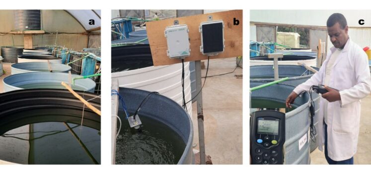 11. Experimental fish tanks with aeration and waterlines (a), water quality monitoring (real time using IoT device SYNWater (b) and regular monitoring HQ multiline probe (c).