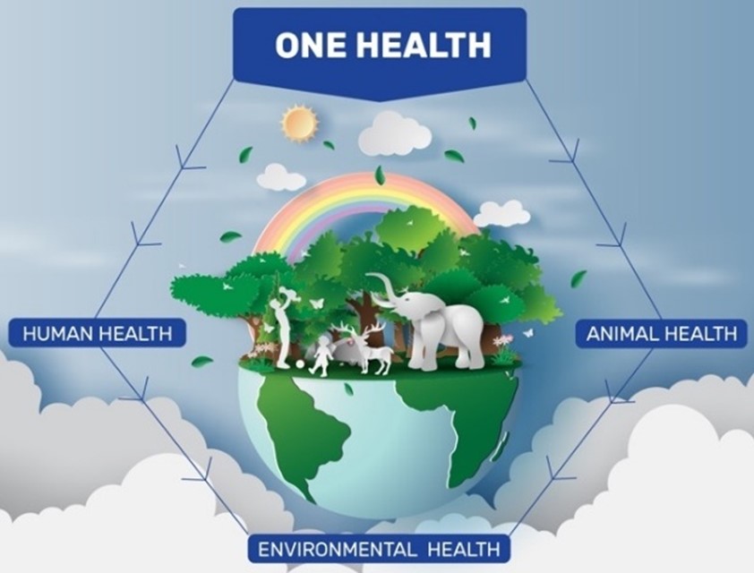 One - Health